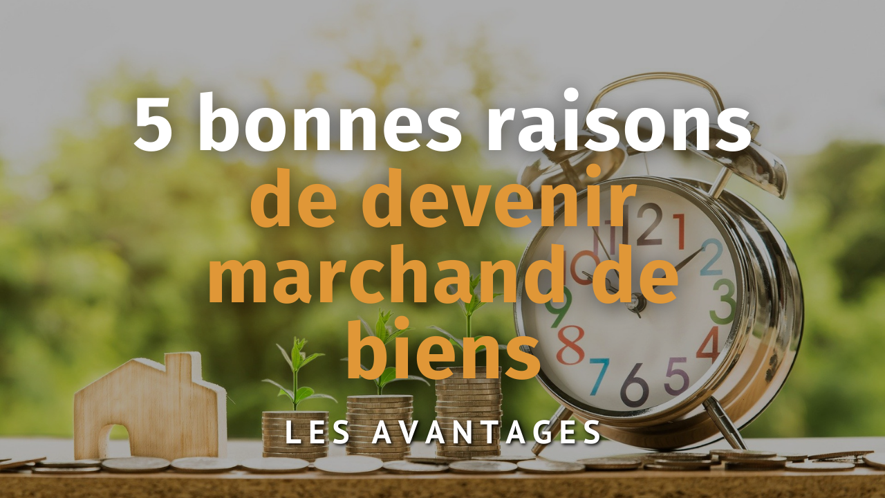 5 Bonnes Raisons De Devenir Marchand De Biens - Stratégie Immobilier